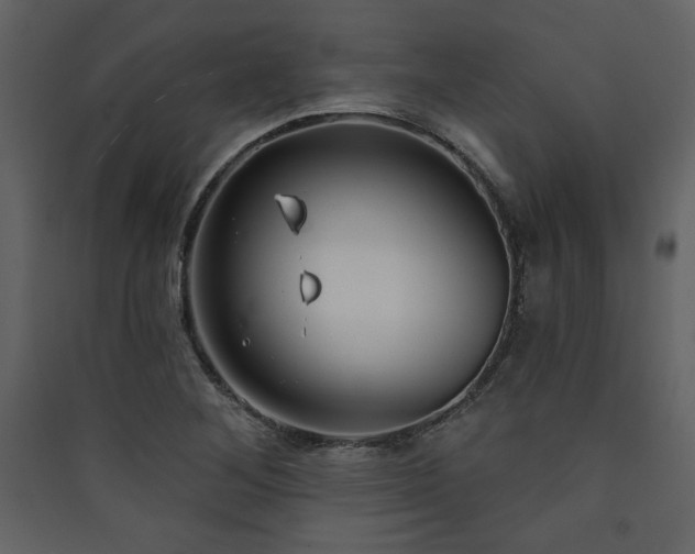 X0000090421268200707131201