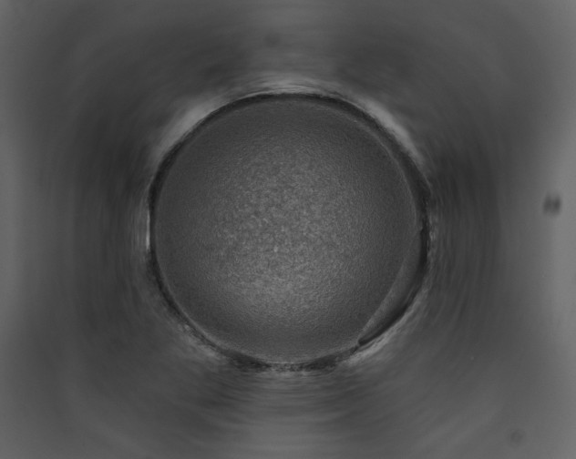 X0000090421269200707131201