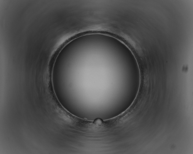 X0000090421270200707131201