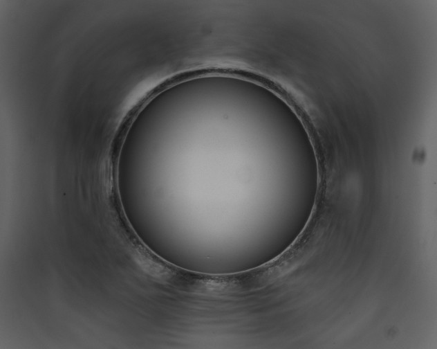 X0000090421271200707131201