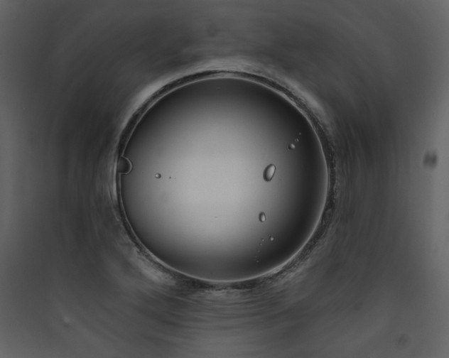 X0000090421272200707131201