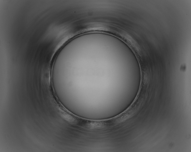 X0000090421274200707131201