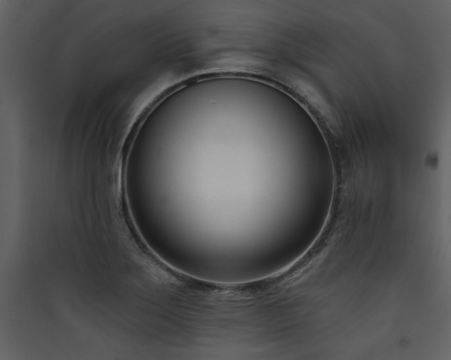 X0000090421275200707131201