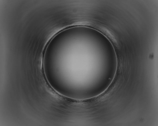 X0000090421276200707131201