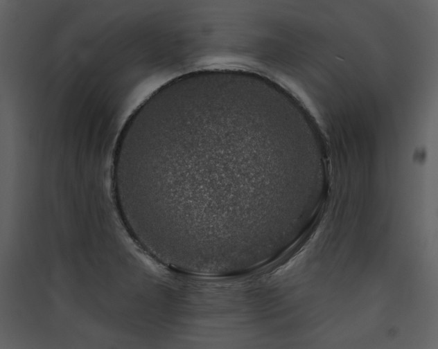 X0000090421277200707131201