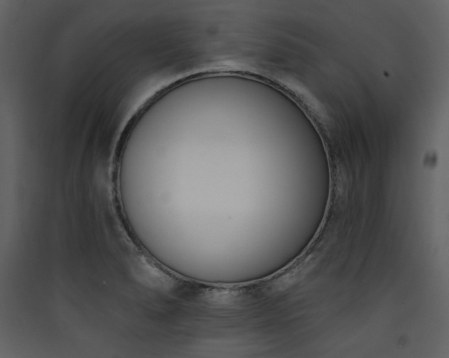 X0000090421278200707131201