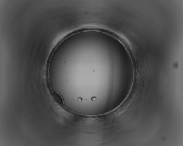 X0000090421279200707131201