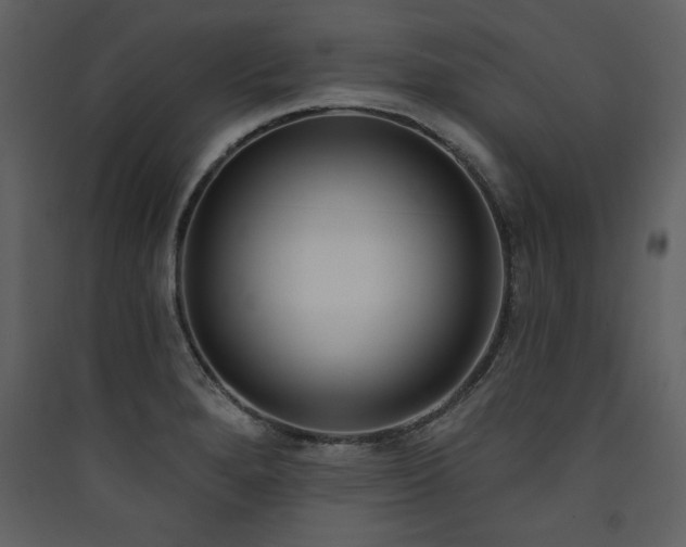 X0000090421280200707131201