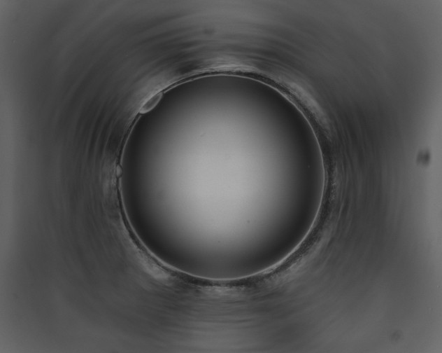 X0000090421281200707131201