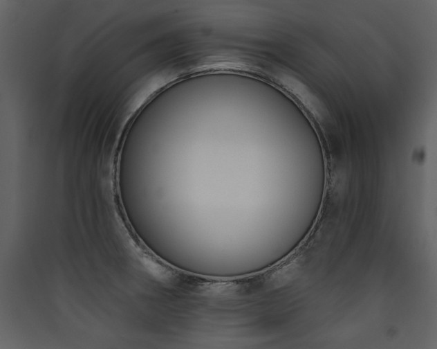 X0000090421282200707131201