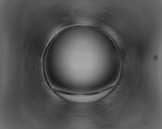 X0000090421283200707131201