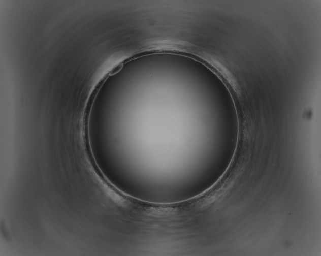 X0000090421285200707131201