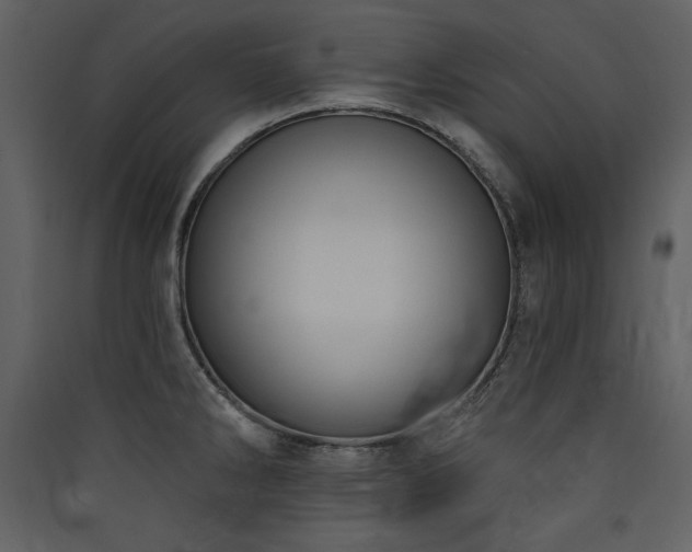 X0000090421286200707131201