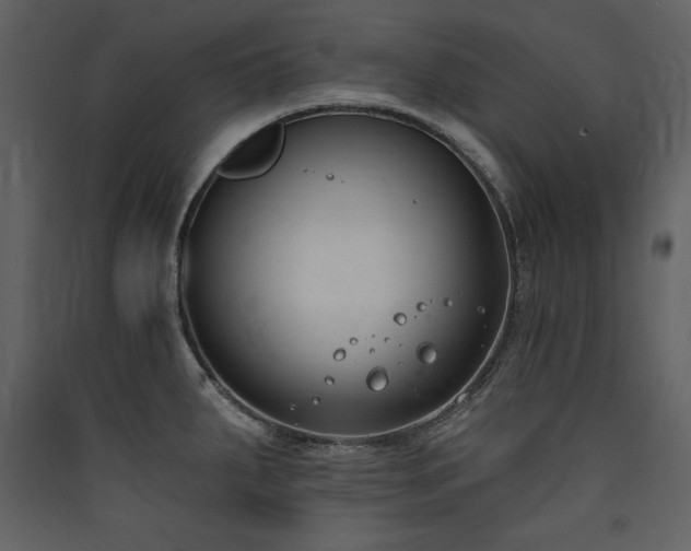 X0000090421287200707131201