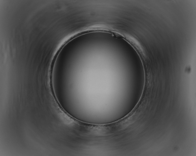 X0000090421288200707131201