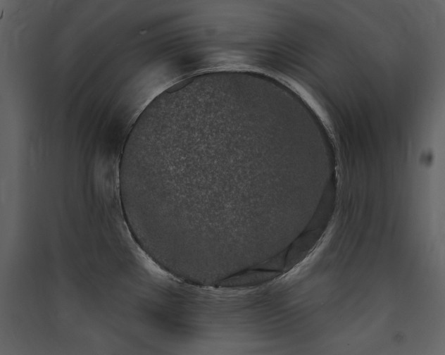 X0000090421289200707131201
