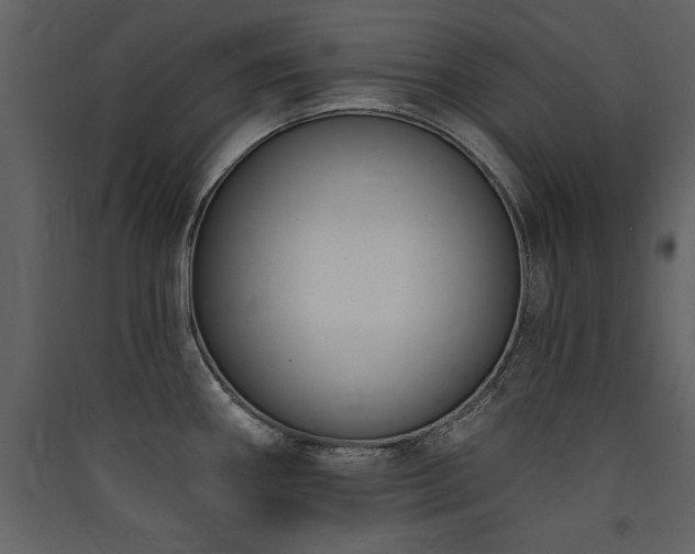 X0000090421290200707131200