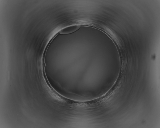 X0000090421291200707131200