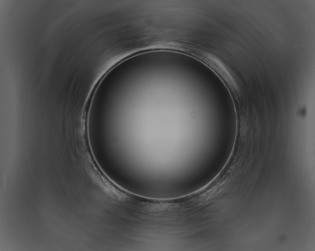 X0000090421292200707131200