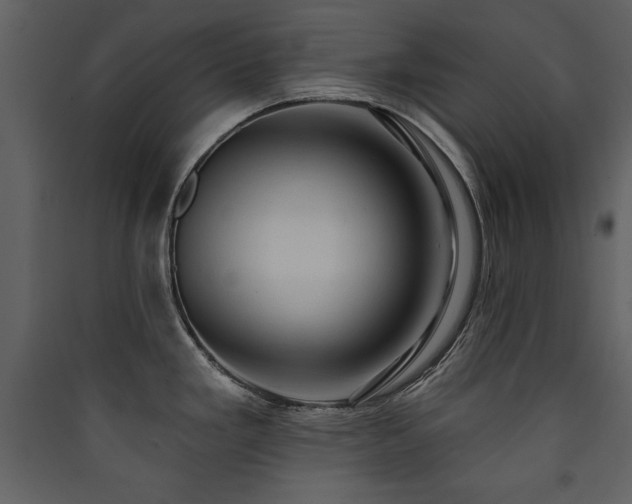 X0000090421293200707131200