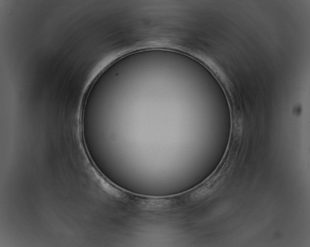 X0000090421294200707131200
