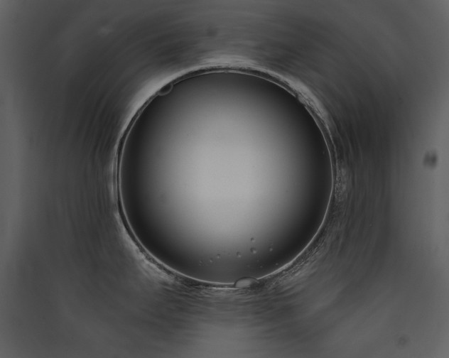 X0000090421295200707131200