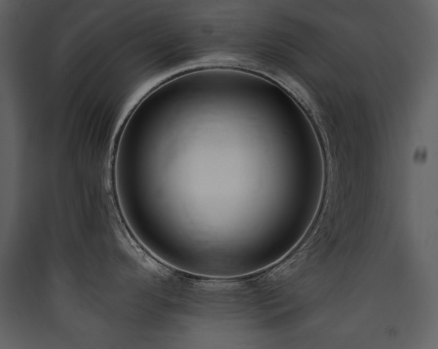 X0000090421296200707131200