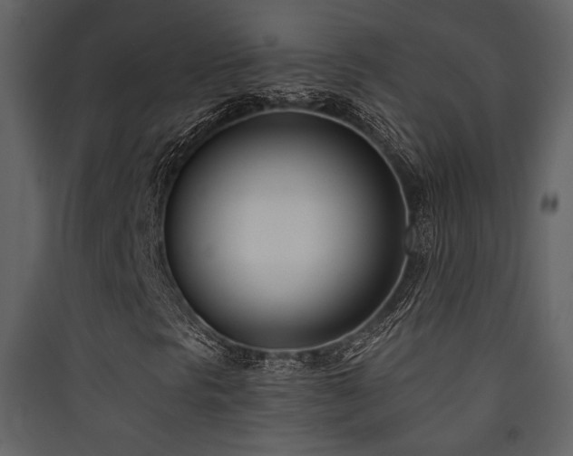 X0000090421297200707131200