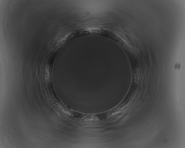X0000090421298200707131200