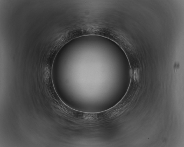 X0000090421299200707131200