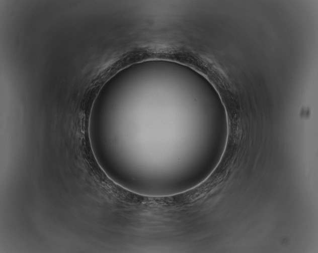 X0000090421301200707131200