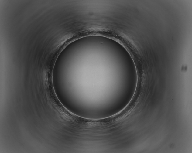 X0000090421305200707131200