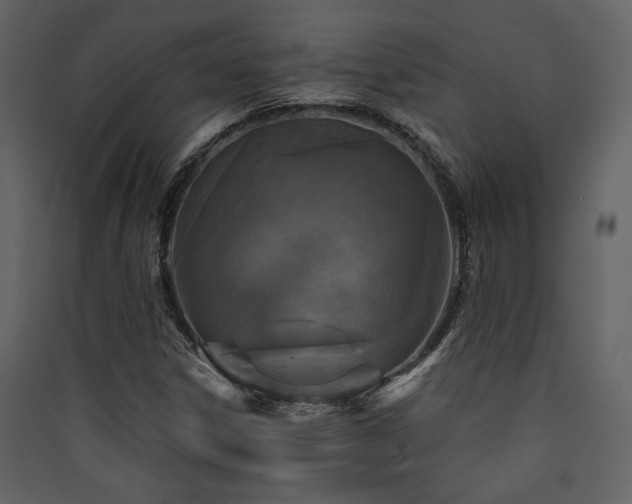 X0000090421306200707131200