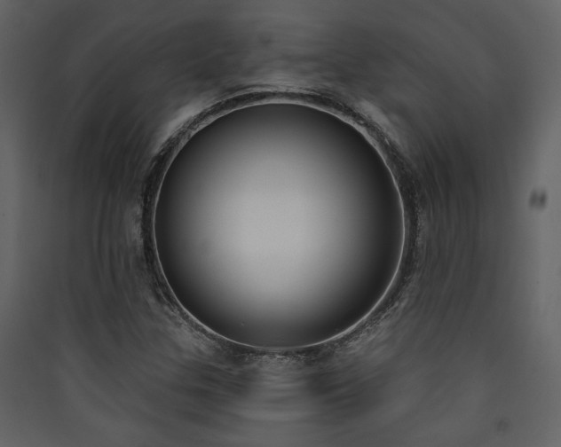 X0000090421307200707131200