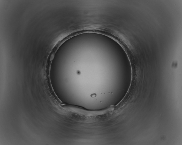 X0000090421308200707131200