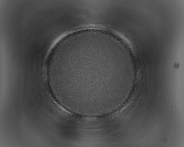 X0000090421310200707131200