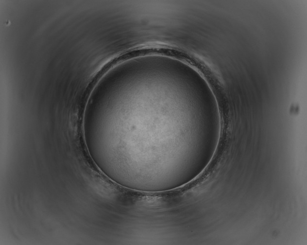 X0000090421313200707131200