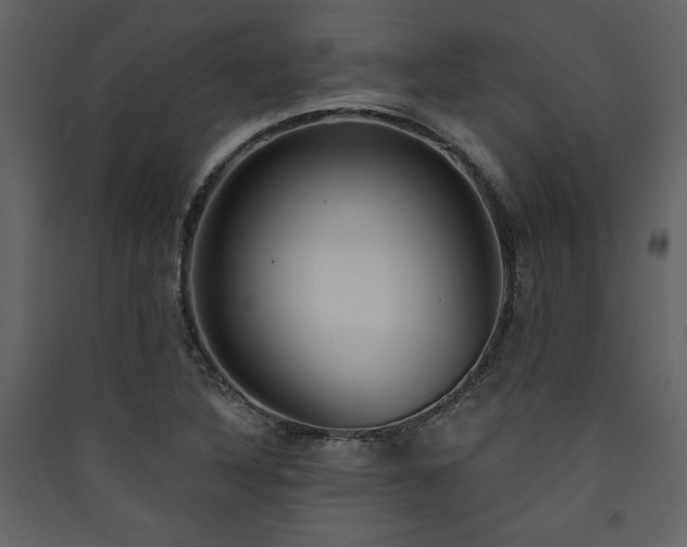 X0000090421316200707131200