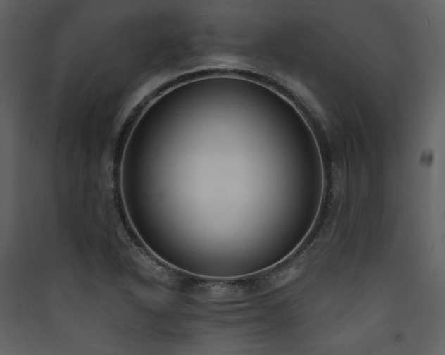 X0000090421318200707131200