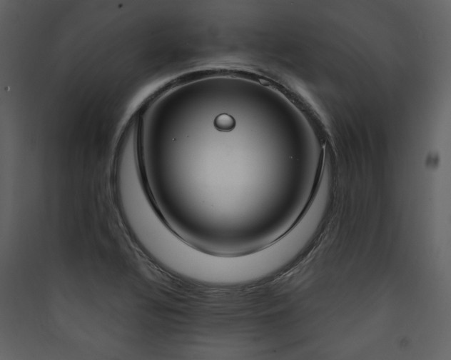 X0000090421320200707131200