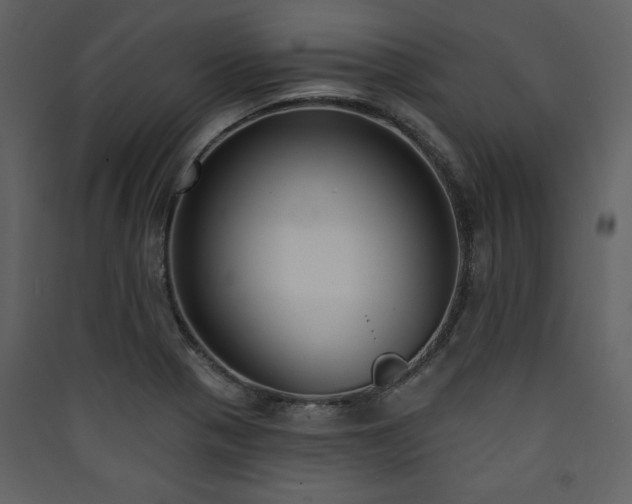 X0000090421321200707131200