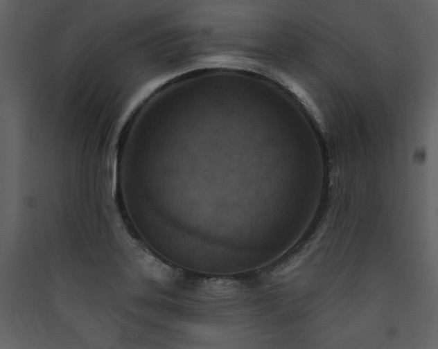 X0000090421323200707131200