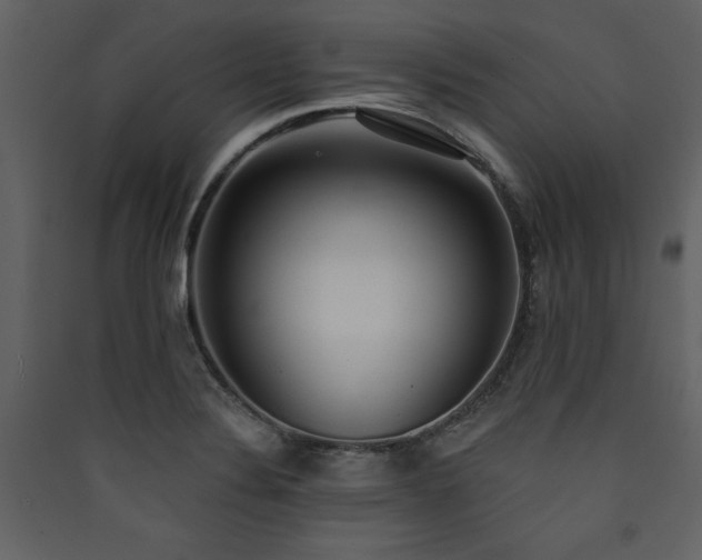 X0000090421324200707131200