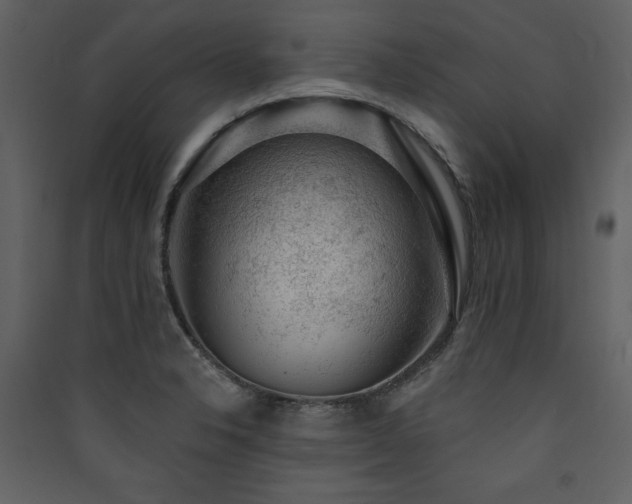 X0000090421326200707131200