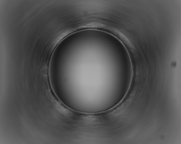 X0000090421329200707131200