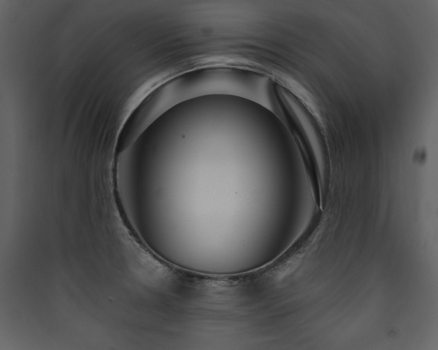 X0000090421330200707131200
