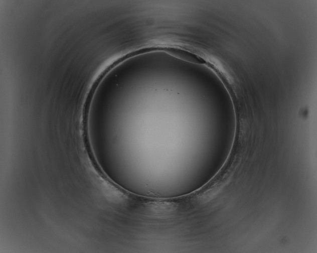 X0000090421331200707131200
