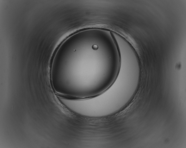 X0000090421332200707131200
