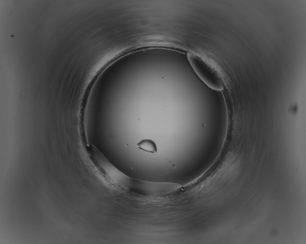 X0000090421333200707131200