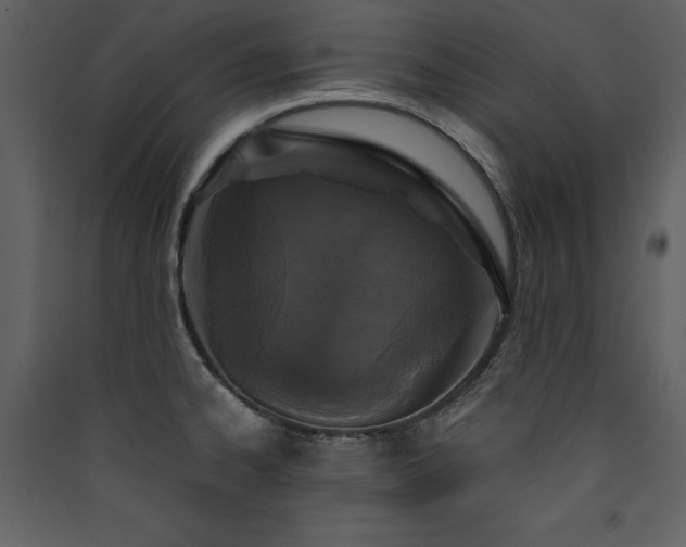 X0000090421334200707131200